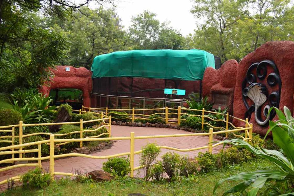 Zoo Theme Park Paving Solutions in Bangalore